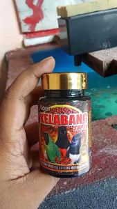 VOER KELABANG SUPER#pendongkrak materi burung