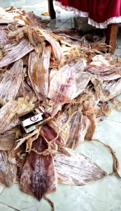 Cumi-cumi Kering Jumbo: Manfaat & Cara Mengolah