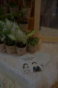 Minetree ต้นไม้มงคล ชุดหูหิ้ว 3 กระถาง สั่งทำป้ายชื่อฟรี!! ไม้มงคล ไม้อวบน้ำ ของชำร่วย งานแต่ง  ปีใหม่ สัมมนา ของขวัญ