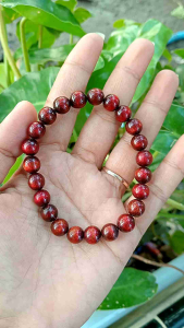 Gelang Akar Bahar Tunggal: Desain Unik & Fungsional