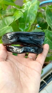 gelang akar Bahar merah natural bodi hitam/gelang akar Bahar merah natural/gelang akar Bahar merah body hitam/gelang akar Bahar merah natural body hitam size jumbo