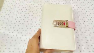 A6 Personal Clear Cash Envelope