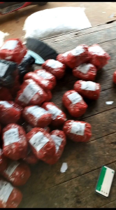 Kencur Segar 500 Grm & Kencur Super 500 Grm