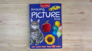 [READY STOCK] BUKU BERGAMBAR HARDCOVER - learn more than 100 words / full colour vocabulary book (amazing book)