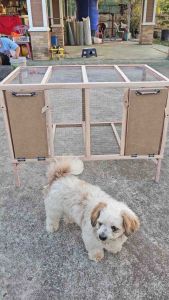 กรงสัตว์เลี้ยง ถูกใจสิ่งนี้ กรงสัตว์มีบรรได สามารถเปิด-ปิดได้ ขนาด70*60*100