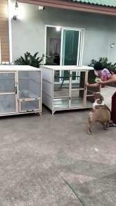 กรงแมวกันยุง ขนาด100*90*90ซม.