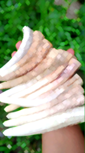 Pipa Cangklong Tanrus Kualitas Super 18cm