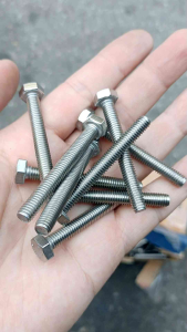 Bulong inox 304 - Đầu lục giác M6x50 mm (100g)