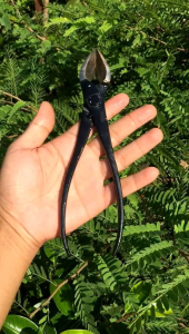 Catok Bonsai Samping & Miring: Panduan Lengkap