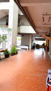 TORIKUMU ESA JAPAN SPINNING SOLIC CARBON ROD