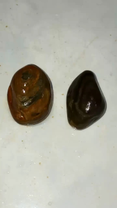 Natural Batu Motif Mata Dewa & Batu Akik Sulaiman Puser Bumi