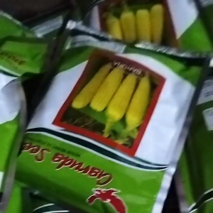 Benih jagung manis BARUNA isi 250 gram Garuda sed