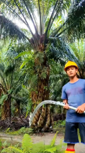 SBL G222 pro original malaysia