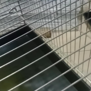 Keramba Ukuran 57x35x45 & Baki Air: Desain Modern untuk Ruang Tamu