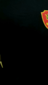 Kaos Linmas Lengan Panjang Tshirt Pria Fashion Pria Kaos Pria Linmas Kaos Tangan Panjang Hansip