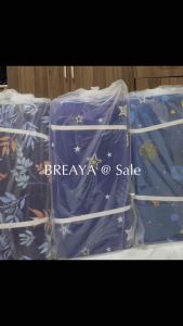 Bed Foam Single (Buy 1 Get 1 Sale)