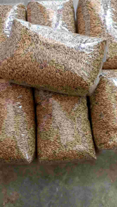 Padi Huma Padi Darat di Tanam Khusus Darat 1 Kg