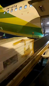 Peti Jenazah Standar Peti Jenazah Desain Industrial Peti Jenazah Tanpa Garansi - Lazada