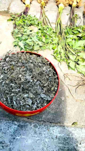 1Kg Chè dây Lai Châu (vụ mới khô thơm) hỗ trợ viêm loét dạ dày tá tràng HP