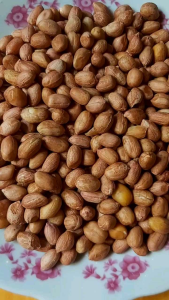 Đậu phộng 🥜 còn sống Bịch 500g hạt đậu còn tươi Đậu phộng dùng để luột chín rang muối rang tỏi ớt ... . Bịch 500g đem rang muối dùng đủ cho 10 người lớn ăn vặt ăn chay hoặc uống bia không cồn.