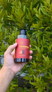 Shampoo Hitamkan Rambut Uban & Herbal Polygonum Yurizumi 300ml