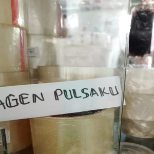 lakban bening ukuran 2 inch