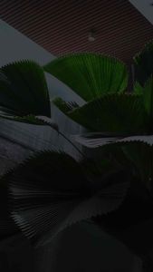 Atasan Batik Couple Kutubaru Modern Kemeja Kantor Slimfit