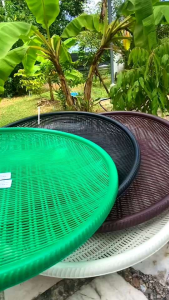 กระด้ง 1เซต10ชิ้น กระด้งพลาสติก กระด้งตากปลา กระจาดตากปลา ตากหมู -Perfect Worlds