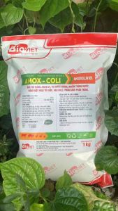 Thu Y Amox - Coli 1KG (10TR1) Amoxicillin 50% Hỗ Trợ Triệu Chứng Ecoli Bạch Lỵ Viêm Ruột Từ Huyệt Trùng Phân Xanh Phân Trắng