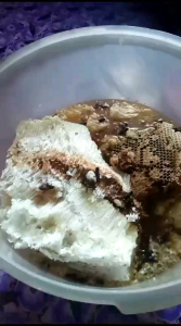madu hutan kalimantan (odeng)