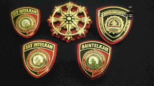 PIN SATINTtELKAM BAINTtELKAN DITINTtELKAM DIKINTtEL RODAINTtEL