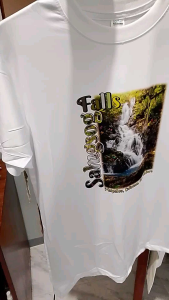 ReignDri-Fit White Dri-Fit T-shirt with Salugsog Falls graphic and tagline "Peaceful Christ in the Wilderness" on natural background. Small to Medium Size Available.
