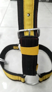 Brangus Sapi 3Ring Variasi 38cm