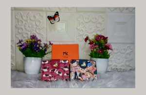 DOMPET BEAR FREE BOX / COD