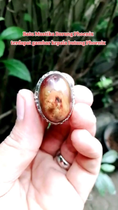 Cincin Batu Mustika Burung Phoenix: Desain Unik dan Simbol Keberuntungan