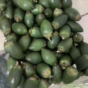 หมากอ่อน หมากเขียว 1กิโล