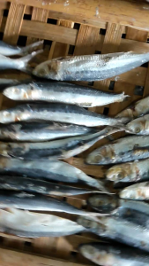 IKAN ASIN SIRO ISI 500GRM