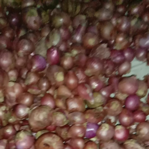 Bawang Merah Fresh untuk penyedap rasa masakan bumbu ibu dapur