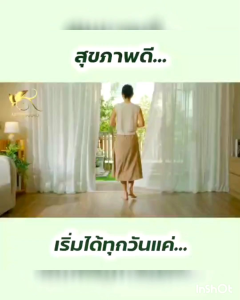 ชานพเก้าพลัส ชาสมุนไพร 11 ชนิด สมุนไพรออร์แกนิกส์