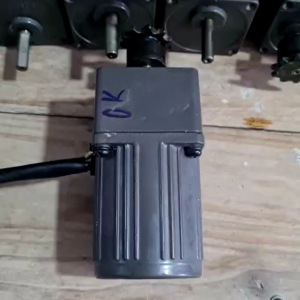 (15 vòng/phút) Mô tơ giảm tốc 25W tải trọng 60kg sử dụng điện 220V. Có đảo chiều được sử dụng cho ép mía tải băng đảo cà phê quay nướng gia công gánh nước..