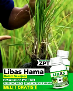 Pupuk Libas Pembasmi Hama dan Bakteri Tanaman Beli 3 Gratis 1