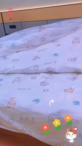 Bộ Bọc Chăn Gối Đệm / Khách Sạn Dùng 1 Lần Siêu Tiện Lợi /