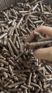 10KG FILTERED and DUST-FREE Grade A Pet Bedding Cat Litter Pasir Kuching Kayu Pellet Kuching Arnab Hamster 人工过滤宠物木粒垫料