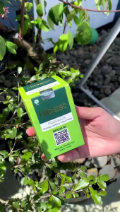 HIBEST Propolis Obat tetes Herbal Diabetes Penurun Gula Darah Tinggi dan Kencing Manis ORi BPOM