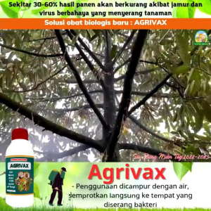 Agrivak Fungicides King Beli 3 Gratis 1 - Pembasmi Hama dan Jamur 250 ml