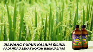 Pupuk Cair Jiawang Kalium dan Silika - 250ml