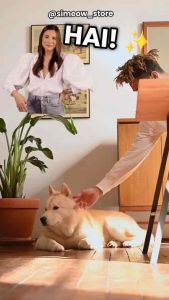 PARFUM ANABUL KUCING ANJING TAHAN LAMA - SIMEOW PET PAWFUME