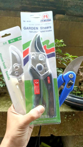 Gunting Dahan Bonsai FUKUDA ST-800 8" STAINLESS