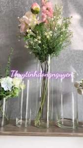 Bình thủy tinh trụ tròn trang trí cắm hoa bể cá mini tiểu cảnh…đường kính 12cm x cao 15cm 25cm 30cm 40cm 50cm (12x15 12x25 12x30 12x40 12x50cm)