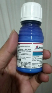 Amistartop 325 SC: Fungisida Sistemik Asli Syngenta 100%